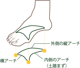 アーチの役割と重要さ